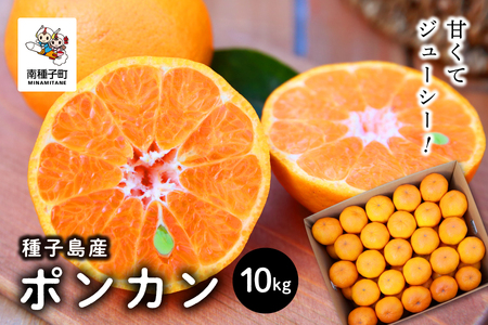 《 先行予約　2025年12月中旬頃〜1月中旬頃順次発送 》種子島産ポンカン約10kg （約65玉）【南種子町果樹部会】