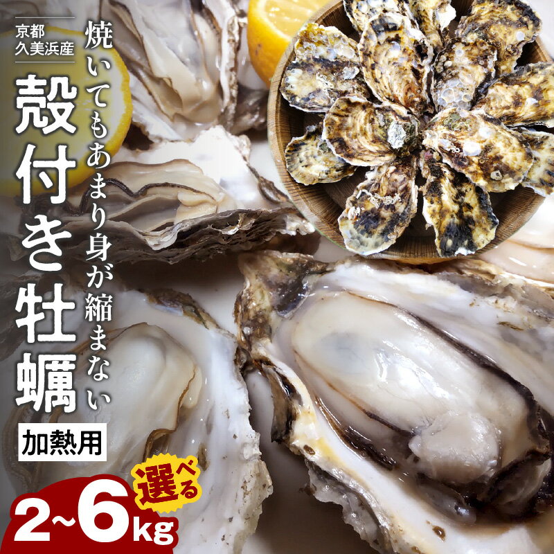 【ふるさと納税】残りわずか 牡蠣ナイフ付／高評価★5.0 高レビュー★ 朝揚げ鮮度直送★京都 久美浜産 殻付き 牡蠣 2kg 3kg 4kg 5kg 6kg 【加熱用】 牡蠣ナイフ付 選べる 内容量 人気 国産 正規品 大粒 肉厚 養殖牡蠣 牡蠣 牡蛎 かき 海鮮 貝 海のミルク 殻付き