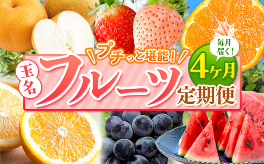 【 定期便 4回 】 プチっと 堪能 ！ 人気 フルーツ | 赤いちご 白いちご みかん 不知火 デコポン スイカ ぶどう 梨 太秋柿 果物 くだもの 定期便 4回 熊本県 玉名市