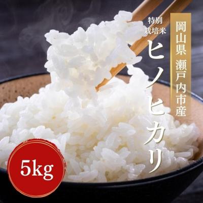 ふるさと納税 瀬戸内市 令和7年産 特別栽培米 ヒノヒカリ 5kg 精米  岡山 瀬戸内市 [No.5735-3407]