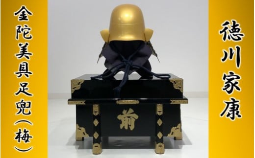 NS-101 徳川家康　金陀美具足兜（梅）