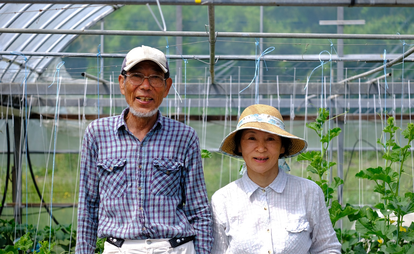 肉厚 パプリカ 8個 彩り野菜 旬 甘い ぱぷりか 赤パプリカ 黄パプリカ 緑黄色野菜 新鮮野菜 やさい 有機肥料 赤黄ミックス 詰め合わせ ジューシー ピーマン ピクルス マリネ 肉詰め サラダ バ