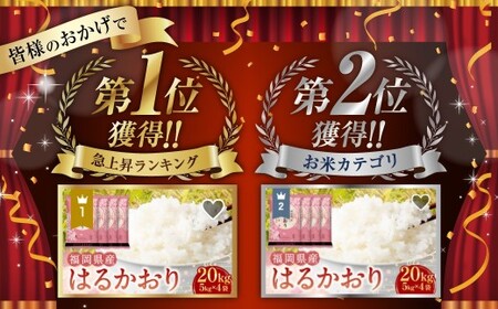 はるかおり 精米 5kg 【令和7年産】 米 こめ コメ お米 ライス 白米 国産 国産米 福岡県産 福岡県 香春町 常温