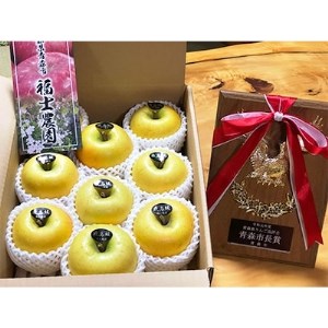 「シナノゴールド」3kg・特選贈答用りんご 青森市長賞受賞【配送不可地域：離島】【1074179】