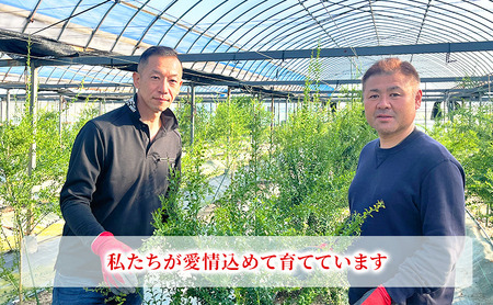 フィンガーライム 50g 森のキャビア キャビアライム フルーツキャビア