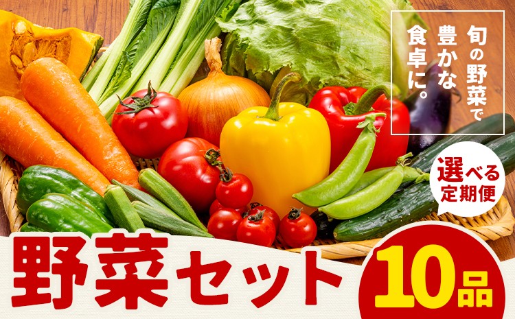 
                  【定期便】 野菜 10品程度 選べる 計3回 計5回【メロンドーム】 定期便 3ヶ月お届け 5ヶ月お届け 詰め合わせ セット 国産 九州産 熊本県 菊池市 道の駅 送料無料《お申し込みの翌月から出荷》
                