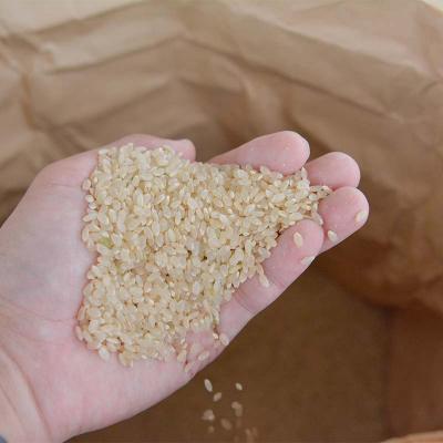 ふるさと納税 戸沢村 令和7年度 山形県産 はえぬき 玄米 30kg F7W-0268 |  | 02