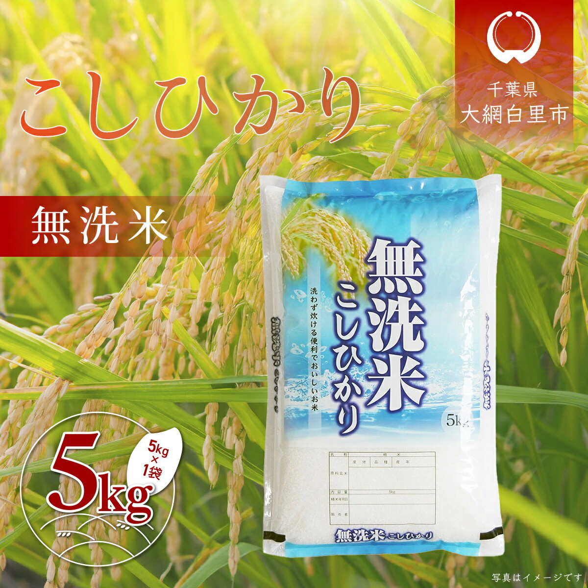 【ふるさと納税】令和6年産 千葉県産「コシヒカリ」無洗米 5kg（5kg×1袋） ふるさと納税 米 無洗米 コシヒカリ こしひかり 千葉県 大網白里市 A056
