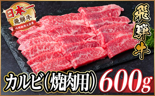 
                  飛騨牛 厳選カルビ(焼肉・BBQ用) 600g(300g×2) 黒毛和牛 小分け A4～A5等級_飛騨牛 黒毛和牛 カルビ 焼肉 BBQ バーベキュー 牛肉 和牛 精肉 肉 旨み おすすめ アウトドア キャンプ お取り寄せ グルメ 岐阜県 送料無料【1543783】
                