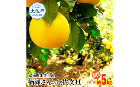土佐文旦 5kg 訳あり 文旦 BQAF013
