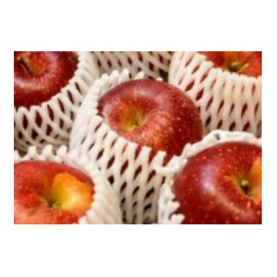 
                  【2026年発送】フルーツ王国　長野県産 りんご　紅玉(こうぎょく) 約2kg(3～10玉程度)_ りんご 林檎 果物 フルーツ くだもの 人気 おすすめ 送料無料 産地直送 長野 信州 紅玉 【1577396】
                
