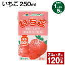 【ふるさと納税】【定期便】【1ヶ月毎5回】いちご 250ml 24本 計120本（24本×5回） いちごミルク いちご果汁 苺 イチゴ 牛乳 乳飲料 ジュース ドリンク 熊本県産 国産 九州 熊本県 菊池市 送料無料