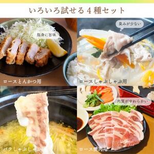 【ブランド豚】柔らかジューシーな肉質!「和豚もちぶた」4種セット　2kg【配送不可地域：離島】【1497925】