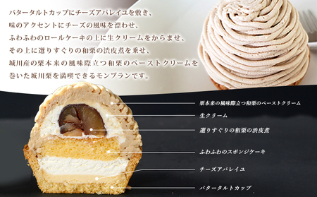 ＜城川オリジナルモンブラン 2個入り【3回定期便】＞ 栗 スイーツ マロン 洋菓子 おかし ケーキ くり お試し 和栗ペースト クリーム 渋皮煮 スポンジ チーズアパレイユ タルト メニークエスト 愛
