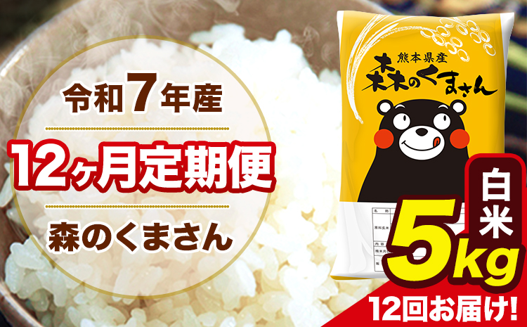 令和7年産 森のくまさん 【12ヶ月定期】白米 5kg (5kg×1袋) 計12回お届け 《お申込み翌月から出荷》 お米 こめ 熊本県産 ご飯 備蓄---mk7tei_126000_5kg_mo12_ng_h---