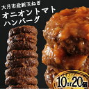 【ふるさと納税】【先行予約】たっぷり！総重量1.7kgと3.4kg！オニオントマトソースハンバーグ（10個 or 20個セット）