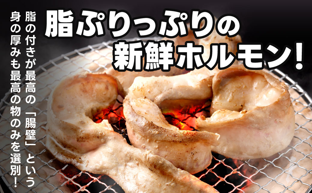 1本焼き 激厚 ホルモン 厚腸版 新鮮 ホルモン 塩ホルモン モツ もつ 牛モツ 牛もつ ぷりぷり 旨味 黒毛和牛 小腸 腸壁 真空パック 国産 九州産 冷凍