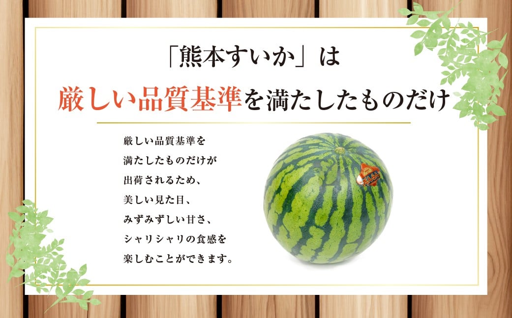 【2026年5月上旬発送開始】大玉すいか 1玉入り 3L以上 約8kg 