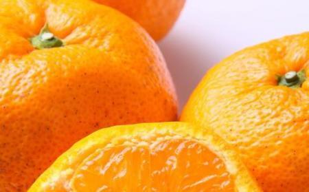 【訳ありご家庭用】和歌山有田みかん5kg（S～Lサイズいずれかお届け）★2024年11月中旬頃より順次発送