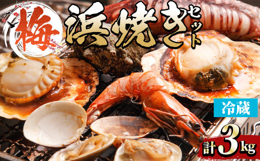 ＜土日祝着＞【梅】浜焼きセット(約3kg)【sm-DD015・sm-DD016・sm-DD017・sm-DD018・sm-DD019】【Workplays】