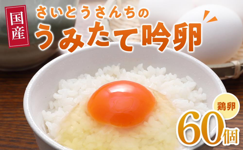 さいとうさんちのうみたて吟卵　60個入り
