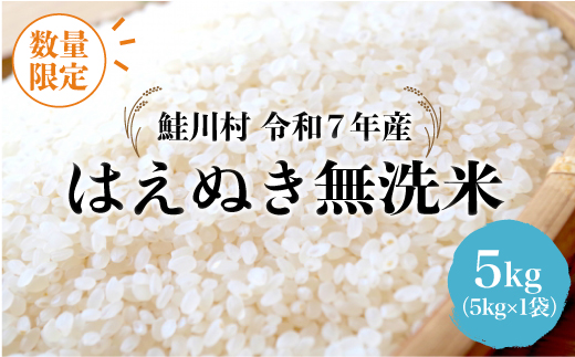◇数量限定品◇ 令和8年3月下旬発送 ＜令和7年産＞ はえぬき 【無洗米】 5kg （5kg×1袋）鮭川村