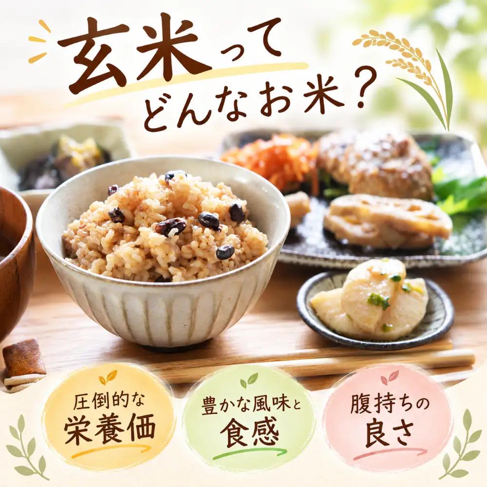 先行受付 令和8年産 にこまる玄米 20kg 5kg×4回 定期便 【にこまる】