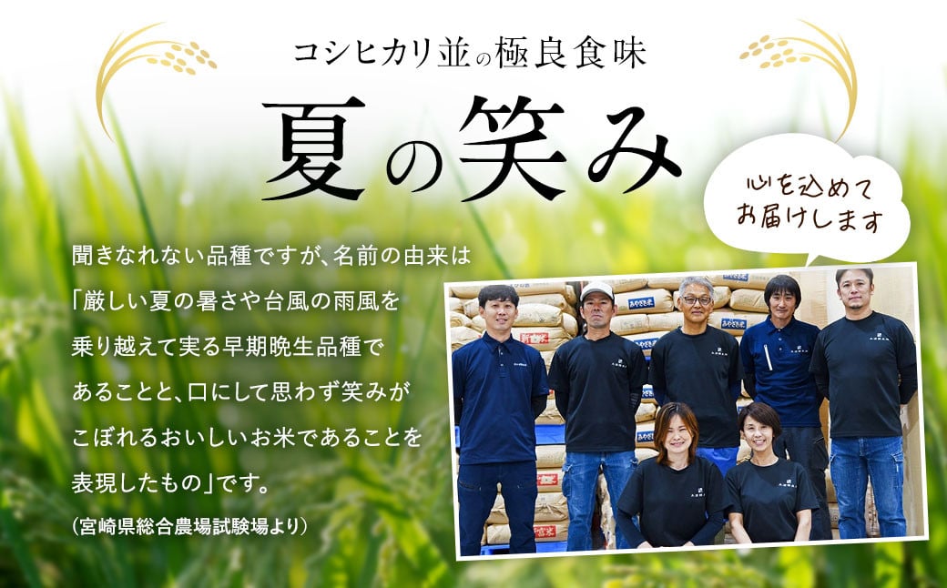 ＜【7ヶ月定期便】令和6年産 宮崎県産 夏の笑み（無洗米）5kg＞お申込みの翌月中旬以降に第1回目発送（8月は下旬頃） 米 夏の笑み 無洗米 精米 希少 品種 白米 お米 ご飯 宮崎県産