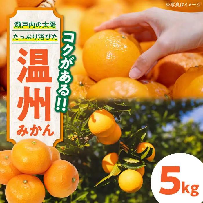 【みかん】温州みかん 5kg（南柑20号）[AGAW001]