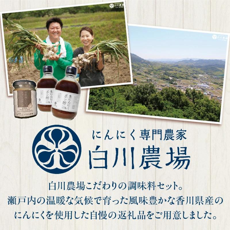 【ふるさと納税】こだわり素材のにんにくセットB 調味料 調味 薬味 香味 ドレッシング クリームチーズ チーズ セット 詰め合わせ 料理 ポン酢 甘熟 甘塾黒にんにく 黒にんにく にんにく 国産 国産