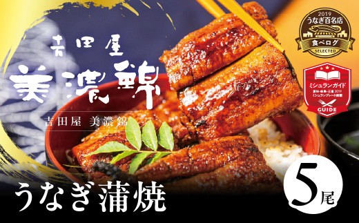 吉田屋美濃錦 うなぎ蒲焼 5尾 国産 うなぎ 蒲焼 国産うなぎ ウナギ 鰻 長蒲焼 かばやき 美味しい 人気 カットうなぎ 国産 ふっくら ギフト お中元 お歳暮 贈答 うな丼 ひつまぶし うな重 贅沢 ご褒美 特上 土用の丑の日 岐阜県 郡上市