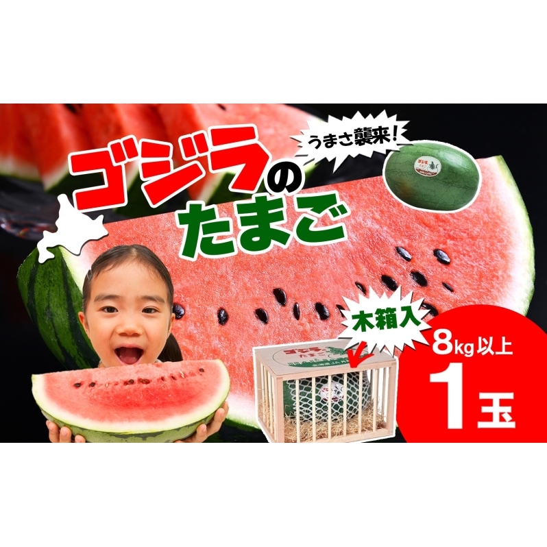北海道 大玉 スイカ ゴジラのたまご 木箱入り 1玉 約8kg すいか 西瓜 果物 フルーツ 旬 希少 貴重 甘い ユニーク 国産 産地直送 ギフト 贈答品 お取り寄せ エーコープつきがた 送料無料 月形