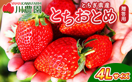 とちおとめ 320g×2パック 4Lサイズ ｜いちご いちご いちご いちご いちご※2026年1月中旬頃より順次発送予定