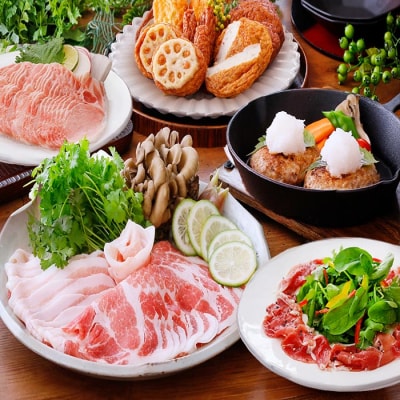 定期便(12回配送)お楽しみ便(A5・A4等級黒毛和牛・黒豚&かつお・さつま揚げ等) HH-6002【配送不可地域：離島】【1166785】