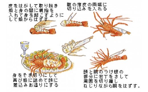 活き　伊勢海老Ｂコース　3～4尾（約800～850g）　山金商店／　伊勢えび　エビ　海老　伊勢志摩産