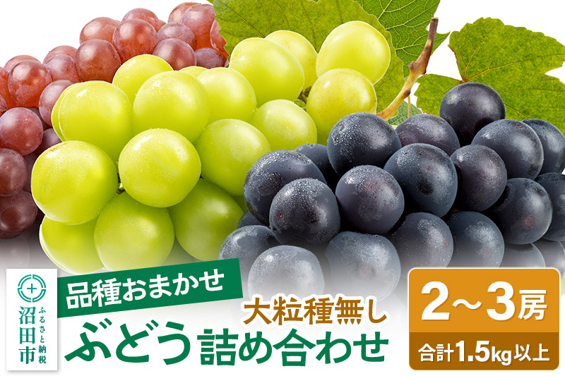 
            《9月上旬～下旬発送》大粒種なしぶどう詰め合わせ 1.5kg以上（2～3房）
          