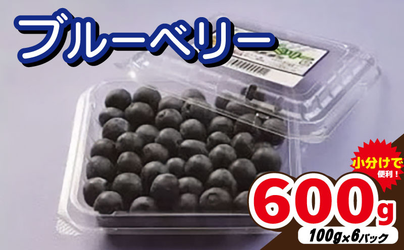 
            ブルーベリー 生 600g ( 100g × 6パック ) 小分け 先行予約 2025年6月中旬～発送分 生ブルーベリー 果物 くだもの フルーツ ふるーつ ベリー ジャム ジュース スイーツ アイス ヨーグルト 
          