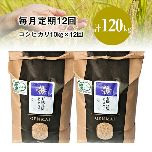 【ふるさと納税】《 新米先行予約 》定期便 12ヶ月 令和7年産 新米 有機栽培米 コシヒカリ 10kg (5kg×2) 選べる 玄米 精米 お米 ご飯 米 岩手県 一関市