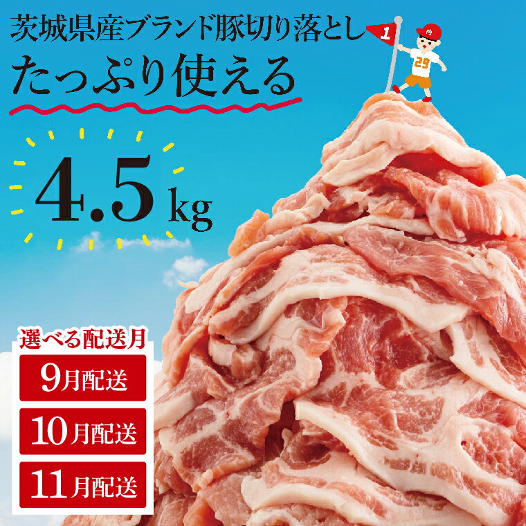 【ふるさと納税】【選べる配送月】【6か月定期便】【数量限定】リピーター続出！茨城県産豚ブランド切り落とし計18kg(3kg×6回)【肉 豚肉 切り落とし 小分け 真空 真空パック 茨城県産 肉料理 肩ロース ウデ モモ バラ 水戸市 水戸】（EC-103-9）