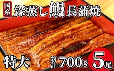 うなぎ 蒲焼 5尾 約700g 国産 うなぎ