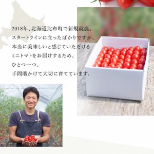 【2024年産受付開始】金賞受賞！北海道フルーツミニトマト【ジェルバ】2.5kg