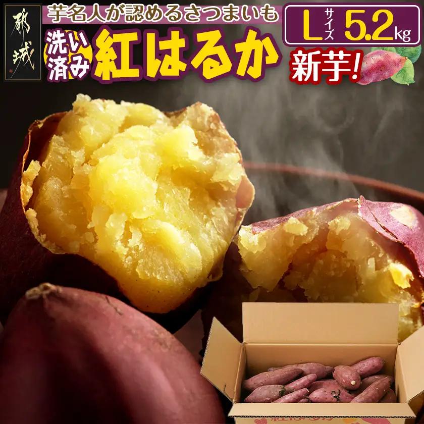 【新芋】芋名人が認めるさつまいも『洗い済み　紅はるか』5.2kg Lサイズ ※9月～11月頃順次発送_LE-L702-N_(都城市) 宮崎県都城産 紅はるか Lサイズ