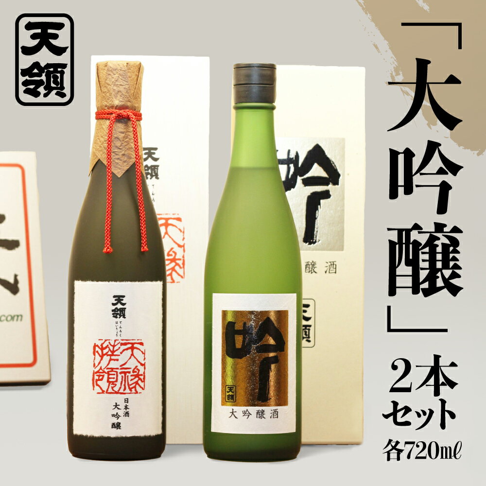 【ふるさと納税】【天領酒造】「大吟醸」セット　2本　各720ml お酒 日本酒 大吟醸 下呂温泉 おすすめ 蔵元 飛騨 贈答品 贈り物 ギフト プレゼント お中元 父の日 母の日 敬老の日 成人の日 成人式 新生活 41000円 40000円 岐阜県 下呂市