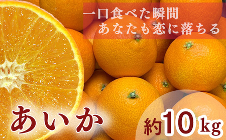 【 先行予約 】【訳あり】農家直送 名前だけが訳あり あいか 10kg 家庭用 | 紅まどんな と同種 みかん 愛媛 松山 フルーツ 果物 くだもの 10キロ 数量限定 期間限定 送料無料 柑橘 みかん フルーツ 果物 みかん ランキング 2024年度【MM0021】