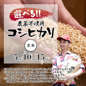 【令和6年度産】 棚田米 コシヒカリ 15kg 玄米 栽培期間中 農薬不使用 お米 玄米 玄米 玄米