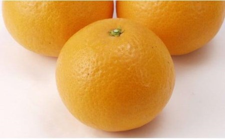 【4月上旬から発送】 希望の島 清見タンゴール 4kg 愛媛 中島産 【FT016_x】