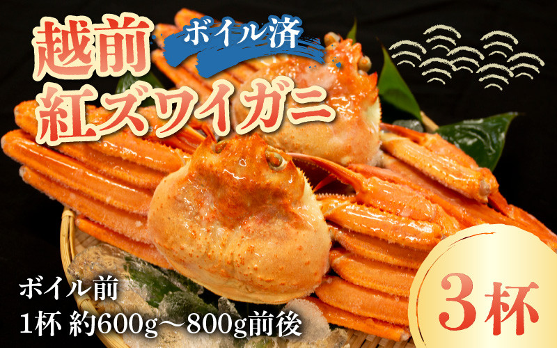
            【先行予約】【数量・期間限定】福井県産 越前 紅ズワイガニ ×3杯【急速冷凍】（プロトン凍結）【10月中旬以降順次発送】
          