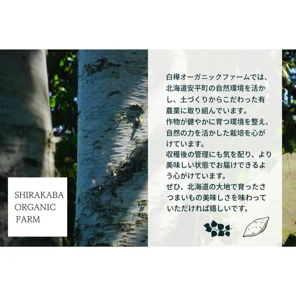 ＜ 先行予約 ＞ オーガニック さつまいも 金時 10kg サツマイモ いも イモ 芋 有機栽培 有機野菜  化学農薬不使用 化学肥料不使用 焼き芋 大学芋 北海道 安平町 安平