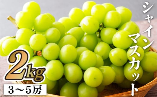 C156p シャインマスカット(2kg)