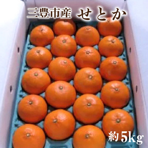 M02-0090_【ふるさと納税】【配送不可地域：北海道・沖縄県・離島】みかん せとか 約 5kg 15玉～28玉 三豊市産 とろける食感 ジューシー 甘い オレンジのような濃厚な味 手で簡単に皮がむ